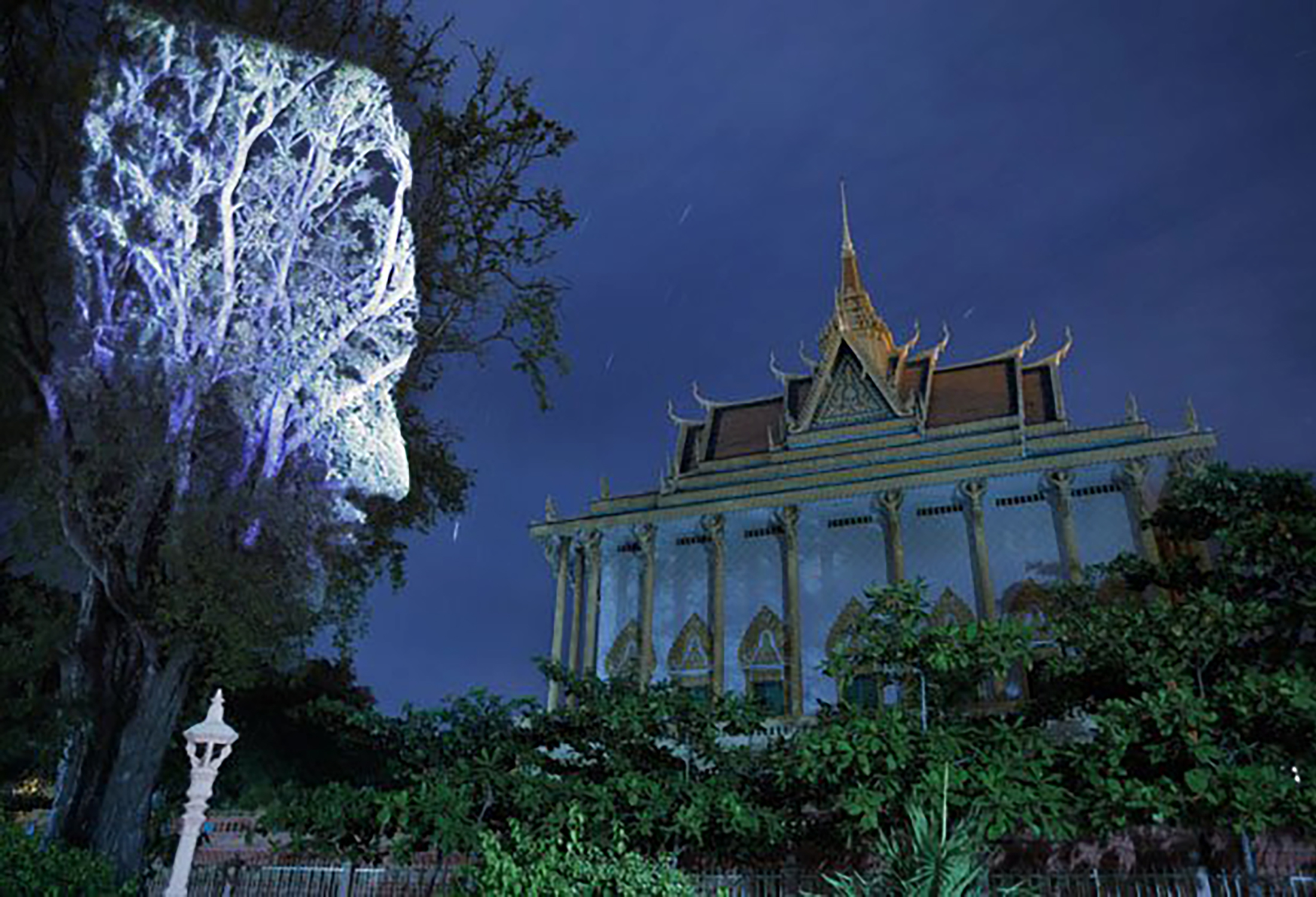 Cambodian Trees 07